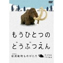 商品種別DVD発売日2009/01/30ご注文前に、必ずお届け日詳細等をご確認下さい。関連ジャンル趣味・教養特典情報初回特典フィギア永続特典／同梱内容■映像特典絶滅どうぶつ図鑑(静止画)商品概要シリーズ解説しらないことは しらないまま だけど この ちきゅうにいたんだよ ようこそ 絶滅動物園へ／絶滅してしまった動物たちの姿を 私たちはもう見ることができません。でも そんな動物たちに出会える場所があります。造形作家 宮川アジュさんはたくさんの資料を元に、絶滅した動物たちを現代に甦らせました。粘土で創られた動物たちは、愛らしく生き生きとしています。『もうひとつのどうぶつえん』には まぼろしの動物たちが、いきいきと暮らしています。『もうひとつのどうぶつえん 〜絶滅動物ものがたり〜 マンモスたちの時代篇』待ちに待った日曜日。お父さんと動物園にやってきた少年は、飛ばされた帽子を追いかけているうちに「絶滅動物園」へと迷い込みます。そこにいるのは少年がこれまで見たこともない動物ばかり。飼育員のサーベルタイガー(絶滅動物)にまたがって、動物園内をまわる少年。何故かお話ができる動物たち。彼らとの会話を楽しみ、動物園をすべてまわりきった時には夕方に。いつの間にか門の外に出ていた少年が後ろを振り返るとそこには動物園ではなく、車が行き交う道路と高層ビルがあった。知らないものは知らないままで…でも、僕たちはここにいたんだよ本編30分スタッフ&amp;キャスト宮川アジュ(監修)、富田朋子(企画)、宇田川美紀(演出)、田村香織(アニメーション)、清水修(アニメーション)、今泉忠明(動物監修)、浅野直広(プロデューサー)CHARA商品番号DABA-600販売元KADOKAWA組枚数1枚組収録時間30分色彩カラー字幕日本語字幕 英語字幕制作年度／国2008／日本画面サイズシネスコサイズ＝16：9LB音声仕様日本語 ドルビーデジタル 読み聞かせモード(言語なし)コピーライト(C)「もうひとつのどうぶつえん」製作委員会 _映像ソフト _趣味・教養 _DVD _KADOKAWA 登録日：2008/10/30 発売日：2009/01/30 締切日：2008/12/12