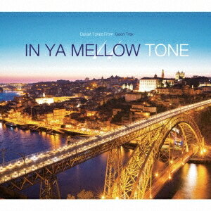 (V.A.)／IN YA MELLOW TONE 11 GOON TRAX 10th Anniversary Edition 【CD】