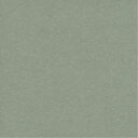 菅田将暉/COLLAGE (初回限定) 【CD+Blu-ray】