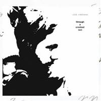 リッチ・ロビンソン／スルー・ア・クルキッド・サン 【CD】