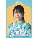 日向坂で会いましょう 丹生明里の団体戦で会いましょう 【Blu-ray】