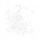 Aimer/白色蜉蝣《通常盤》 【CD】