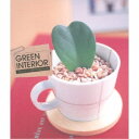 楽天ハピネット・オンライン（V.A.）／GREEN INTERIOR 【CD】