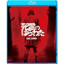 死霊のはらわた 【Blu-ray】