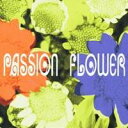 T-SQUARE/Passion Flower 【CD】