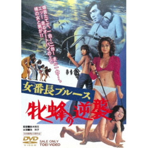 女番長ブルース 牝蜂の逆襲 【DVD】