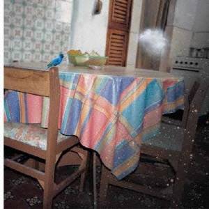 商品種別CD発売日2009/05/13ご注文前に、必ずお届け日詳細等をご確認下さい。関連ジャンル邦楽ポップスアーティストTRIPLANE収録内容Disc.101. アイコトバ (3:57) 02. イチョウ並木 (4:42)商品概要逢いたいけど逢えないそんな遠距離恋愛中のココロ模様を歌った、ドラマティックな情景溢れる遠恋応援ソング！札幌で結成された感動系美メロ・ヴォーカルバンド、TRIPLANEのシングルです。 アイシテルとなかなか口にできないあなたに「アイコトバ」を贈ります。商品番号NFCD-27181販売元エイベックス・マーケティング組枚数1枚組収録時間8分 _音楽ソフト _邦楽_ポップス _CD _エイベックス・マーケティング 登録日：2012/10/24 発売日：2009/05/13 締切日：2009/03/30