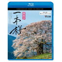 商品種別Blu-ray※こちらの商品はBlu-ray対応プレイヤーでお楽しみください。発売日2021/03/21ご注文前に、必ずお届け日詳細等をご確認下さい。関連ジャンル趣味・教養永続特典／同梱内容映像特典収録商品番号VB-5515販売元ビコム組枚数1枚組 _映像ソフト _趣味・教養 _Blu-ray _ビコム 登録日：2021/01/15 発売日：2021/03/21 締切日：2021/02/18