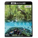 奄美大島【4K・HDR】 〜いのち紡ぐ島〜 UltraHD《UHDBD ※専用プレーヤーが必要です》 【Blu-ray】