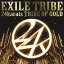 EXILE TRIBE24karats TRIBE OF GOLD CD