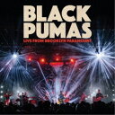 BLACK PUMAS/LIVE FROM BROOKLYN PARAMOUNT 【CD】