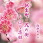 海原あやの/越生町・花の街/ひばり恋歌 【CD】 1,400円