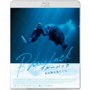 ブルーバック あの海を見ていた 【Blu-ray】