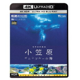 世界自然遺産 小笠原 〜ボニンブルーの海〜 UltraHD《UHDBD ※専用プレーヤーが必要です》 【Blu-ray】