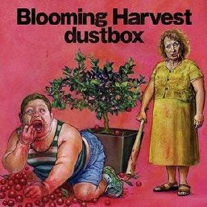 dustbox／Blooming Harvest 【CD】