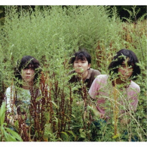 商品種別CD発売日2024/09/25ご注文前に、必ずお届け日詳細等をご確認下さい。関連ジャンル邦楽ポップス永続特典／同梱内容紙ジャケットアーティストpuggs収録内容Disc.101.GAMEBOY(3:34)02.MOMENT(3:10)03.悲しみ、迷走中(1:31)04.アノコの遭遇体験(4:00)05.SPICY(4:33)06.まともでイタイ(4:28)07.電影(4:59)08.ペット(2:51)商品概要関西を拠点に活動する3人組ポップスバンド。大衆がハマるポップをテーマに、60年代洋楽ポップスやロックンロールロカビリー、ガレージなどと現代ポップスを組み合わせた、懐かしくも新しいサウンドが特徴。生きている感覚を直感的に言葉にした歌詞は、老若男女を問わず人々の心に響くフレーズがある。自分たちが敬愛する音楽を貪欲に飲み込み、無限の可能性を内包しながら前進し続けるバンド。幅広い音楽知識と豊かな芸術性。ひとつのスリー・ピースバンドから奏でられるバンドサウンドの域を超えた多様なサウンド全8曲。3つのピースで魅せる挑戦的ポップスアルバムが完成。新たなポップスを追い求めるpuggsの1stアルバム!!商品番号VBCD-121販売元ウルトラ・ヴァイヴ組枚数1枚組収録時間30分 _音楽ソフト _邦楽_ポップス _CD _ウルトラ・ヴァイヴ 登録日：2024/07/18 発売日：2024/09/25 締切日：2024/07/01
