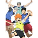 【~7/15 エントリー&5000円以上購入でP最大5倍】ハイキュー!! セカンドシーズン vol.2 【DVD】