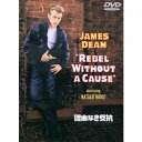 【~7/31 エントリー&5000円以上購入でP最大5倍】理由なき反抗 特別版 【DVD】