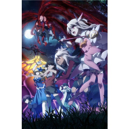 Fate／kaleid liner プリズマ☆イリヤ ツヴァイ ヘルツ！ 第5巻《通常版》 【DVD】