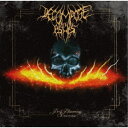 Decompose to Ashes/Pod plameny Severu 【CD】