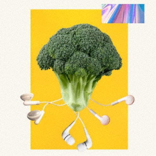 【7/13〜 エントリー&5000円以上購入でP最大5倍】Meg Bonus／New，man 【CD】