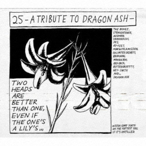 (V.A.)／25 -A Tribute To Dragon Ash-《完全生産限定25th Anniversary BOX B》 (初回限定) 【CD】