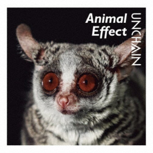 【早い者勝ち!!11/20から使える当店限定クーポン】UNCHAIN／Animal Effect 【CD】