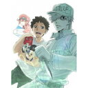 【7/18限定! 楽天会員なら最大P4倍】はたらく細胞!! Vol.3 【Blu-ray】