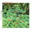 ’slown Mason/KALINE20EDYRK23 Player with Riemann’s z 【CD】