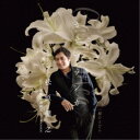 松原健之/カサブランカ c/w 桜ひとひら (アンコール盤) 【CD】