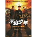 【7/18限定! 楽天会員なら最大P4倍】不良少年 3,000人の総番 【DVD】