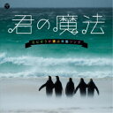 (キッズ)／君の魔法 たにぞうが選ぶ卒園ソング 【CD】