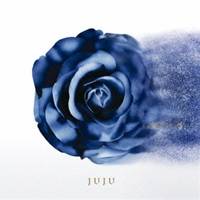 【11/25限定! 最大1000円OFFクーポン】JUJU／この夜を止めてよ 【CD】
