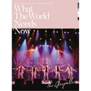 ゴスペラーズ／ゴスペラーズ坂ツアー2018〜2019 What The World Needs Now 【DVD】