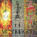 メシュガー/デストロイ・イレース・インプルーヴ 【CD】