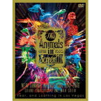 Fear，and Loathing in Las Vegas／The Animals in Screen III-New Sunrise Release Tour 2017-2018 GRAND FINAL SPECIAL ONE MAN SHOW- 【DVD】