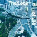fhana/The Look of Life《Type-A》 (初回限定) 【CD】