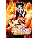 ハヤブサ不死鳥伝説 全日本参戦の足跡 【DVD】