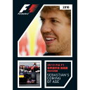 2010 FIA F1世界選手権 総集編 完全日本語版 【DVD】