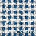 チョーキューメイ/銀河ムチェック (初回限定) 【CD+DVD】