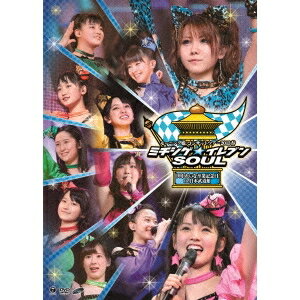 モーニング娘。コンサートツアー2013春 ミチシゲ★イレブンSOUL 田中れいな卒業記念日 in 日本武道館 【DVD】