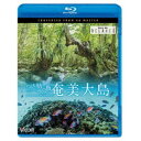 商品種別Blu-ray※こちらの商品はBlu-ray対応プレイヤーでお楽しみください。発売日2021/06/21ご注文前に、必ずお届け日詳細等をご確認下さい。関連ジャンル趣味・教養永続特典／同梱内容■映像特典加計呂麻沖 追い込み漁商品概要本編52分＋特典3分商品番号VB-5518販売元ビコム組枚数1枚組収録時間55分画面サイズ16：9音声仕様リニアPCMステレオ リニアPCM5.1chサラウンド _映像ソフト _趣味・教養 _Blu-ray _ビコム 登録日：2021/04/09 発売日：2021/06/21 締切日：2021/05/20