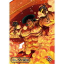 ONE PIECE ワンピース 20THシーズン ワノ国編 PIECE.20 【DVD】