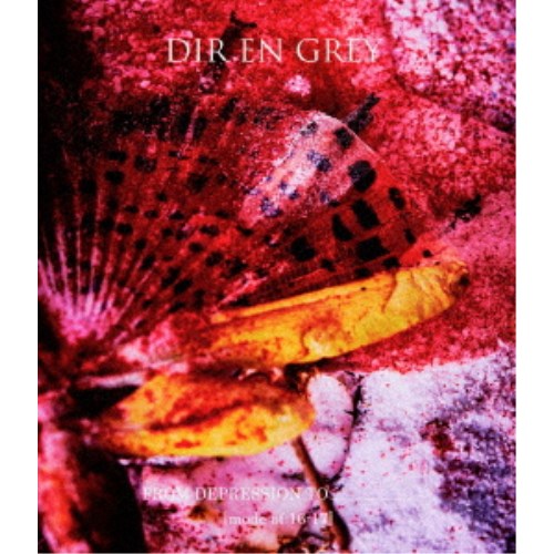 DIR EN GREY／FROM DEPRESSION TO ＿＿＿＿＿＿＿＿ ［mode of 16-17］ 【Blu-ray】