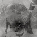 Cuushe/Faded Corners 【CD】