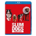 スラムドッグス 【Blu-ray】