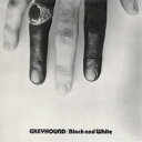 GREYHOUND／BLACK ＆ WHITE ＋3 【CD】
