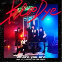BlooDye/Where you are feat. LITTLE(KICK THE CAN CREW)《通常盤》 【CD】