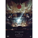 星野源／STRANGER IN BUDOKAN 【DVD】