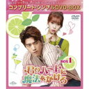 君のハートに魔法をかけろ BOX1 <コンプリート・シンプルDVD-BOX> (期間限定) 【DVD】